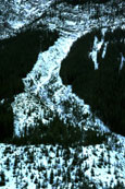 Avalanche path on mountain slope