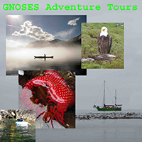 haida gwaii sailing tours