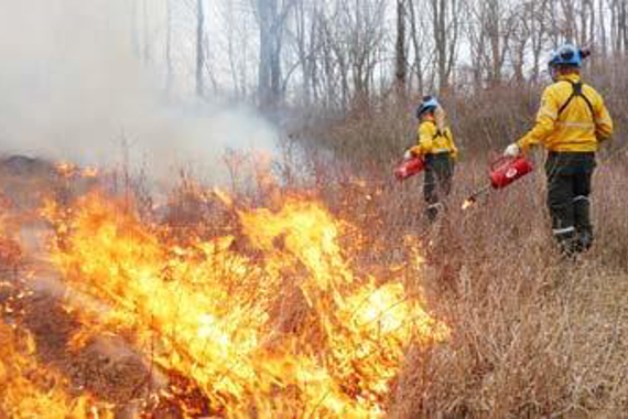 Two workers with handheld drip torches beside a burning field.