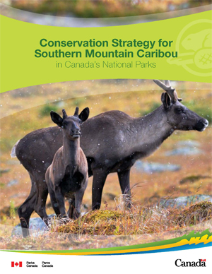 Conservation Strategy for Southern Mountain Caribou in Canada's National parks