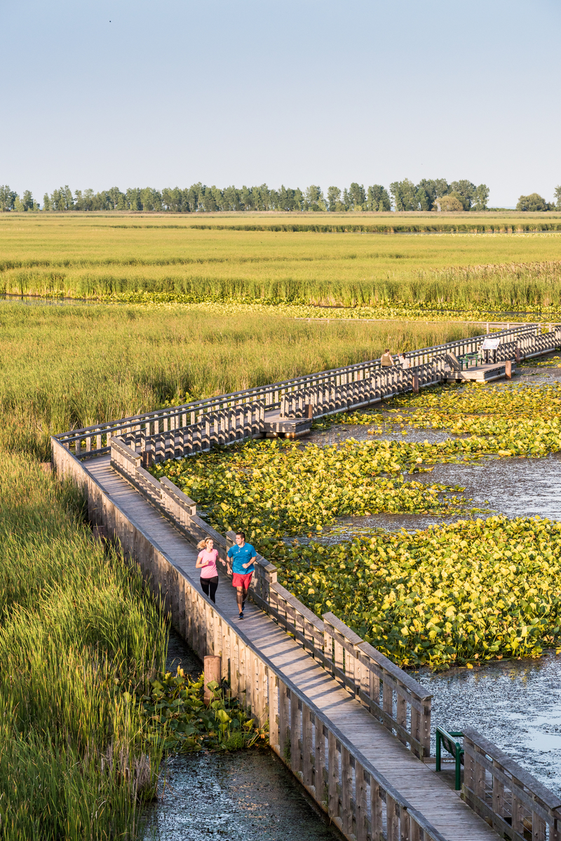 Visitors walk along the Marsh Boardwalk