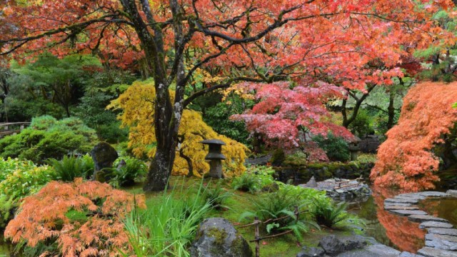 A lush garden containing trees, bushes, and grasses in fall colours, along with a stone path and wooden bridge.