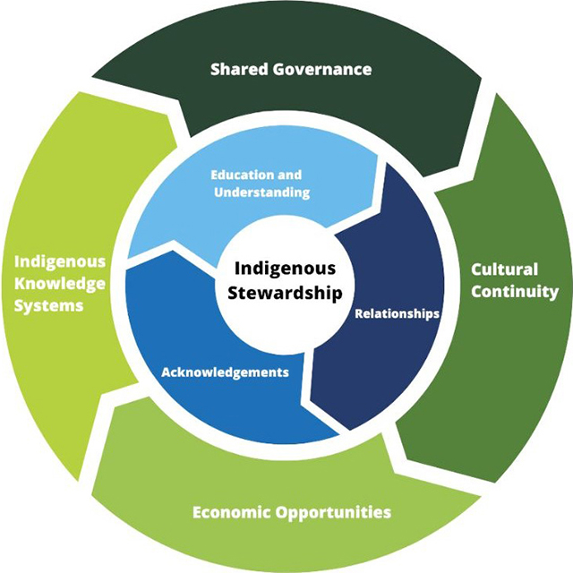 Indigenous stewardship circle illustration