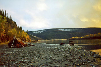 Photo of a landscape including a river bank, trees and a formation of branches