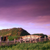 Green field with wooden fence and installation