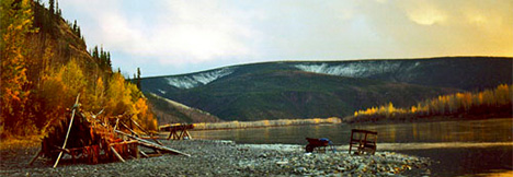 Photo of a landscape including a river bank, trees and a formation of branches