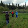 Three persons seen from the back walking in a field surrounded with trees