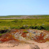 Photo of a landscape with blue sky