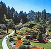 Butchart Gardens