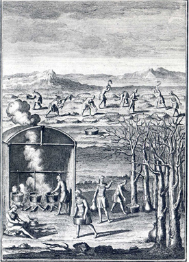 Natives making maple syrup. From an engraving in Lafitau's Moeurs des sauvages amériquains, 1724.