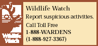 Wildlife Watch Report suspicious activities.Call Toll Free 1-888-WARDENS(1-888-927-3367)