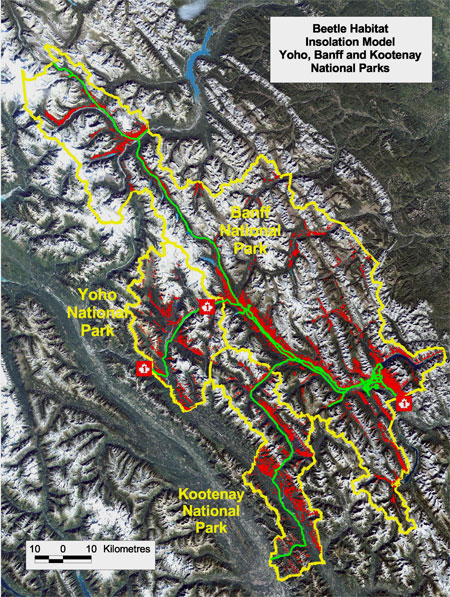  a map of Banff National Park and surrounding areas shows in red areas that are the next susceptible areas to a mountain pine beetle outbreak.