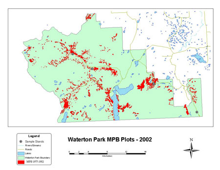 Waterton Lakes National Park Mountain Pine Beetle Plots, 2002