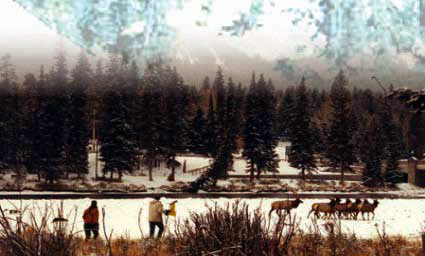 Men herding elk in the snow