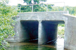 Small bridge over Dickson Brook
