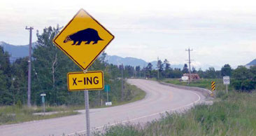 Badger-crossing sign by the road