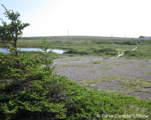 Limestone barrens on the Dorset Trail. © Parks Canada/S. Stone