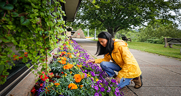 A woman kneels down looking at a garden bed