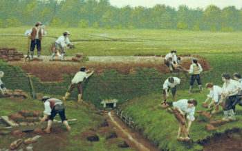 Artwork of the establishment of agricultural dykelands 