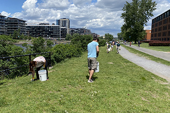 Participants are picking up litter on the bank of the Lachine Canal