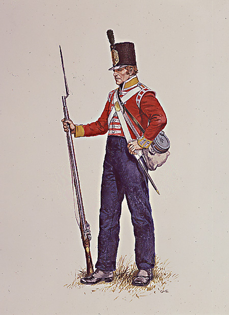Soldier in the Selected Embodied Militia