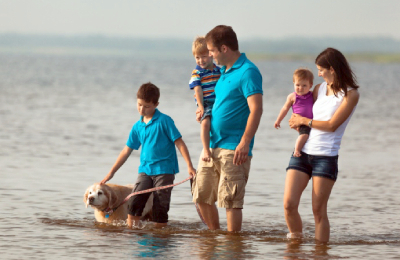Two parents and their three small kids and a dog on a leash walk through shallow water.