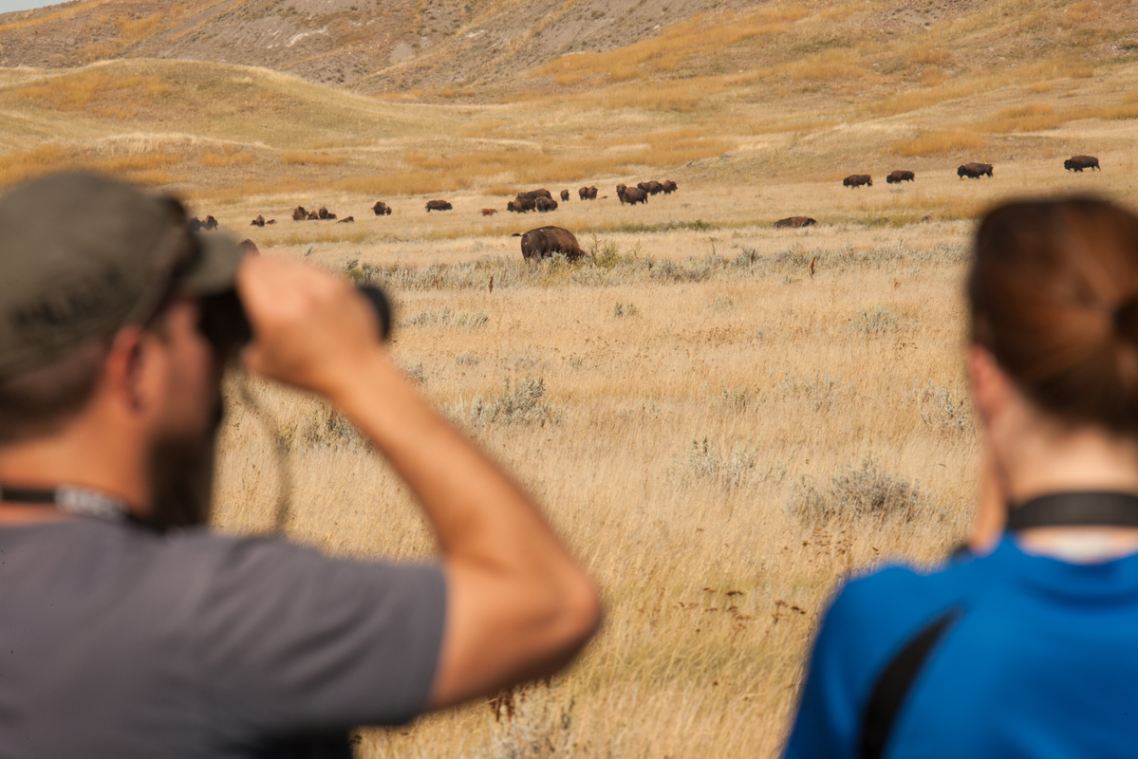 Two visitors watch a herd of bison in the distant plains through their binoculars.