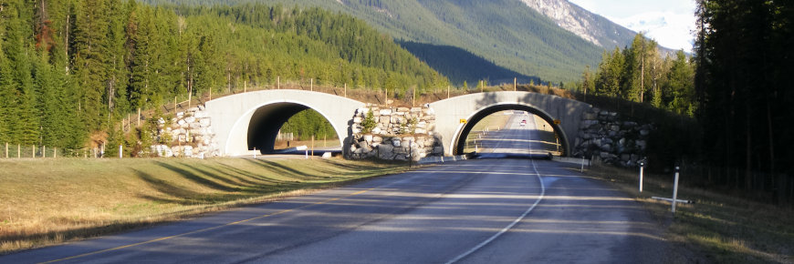 A stone bridge with a vegetated travelling surface spanning a four-lane highway.
