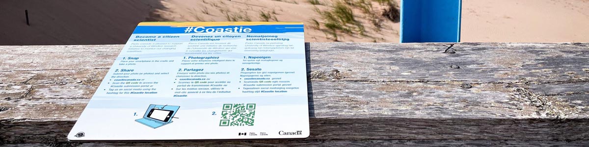 A blue #coastie stand and interpretation sign stands on the side of a walkway overlooking Prince Edward Island National Park.
