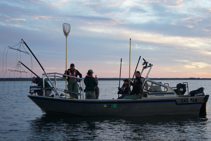 Seven crew members and various equipment onboard an electrofishing boat at dusk.