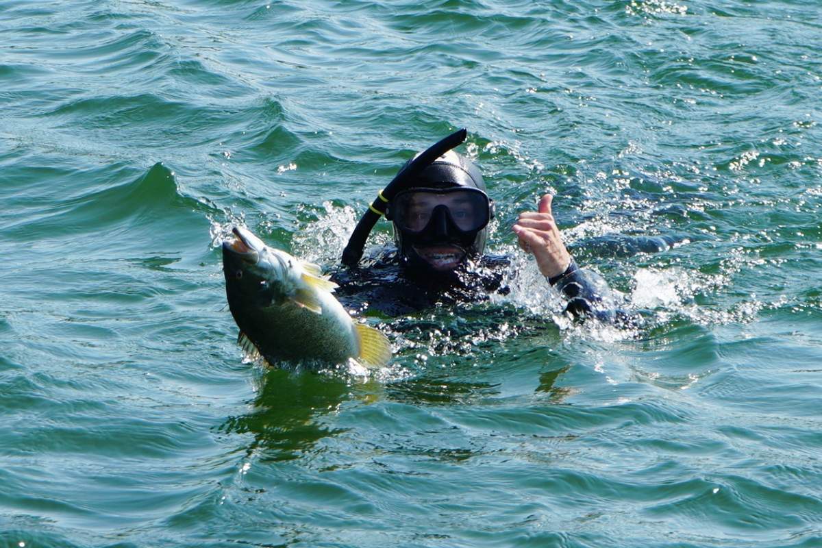 A snorkeler gives a thumbs-up while holding the captured fish on their spear.