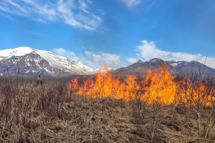 A fire burns dried grass with snow capped mountains in the background. 