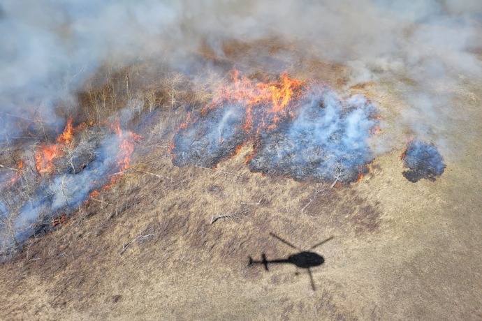 An aerial view of a prescribed fire on a dry grassy plain shown via a helicopter.
