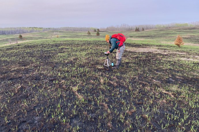 A Parks Canada employee leans over a tripod in a recently burned grassy area.