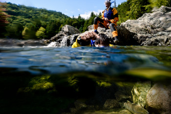 A swimmer points at a salmon in the Upper Salmon River during a Swim with Salmon program.
