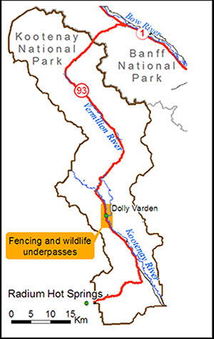 Map of fencing and wildlife underpasses