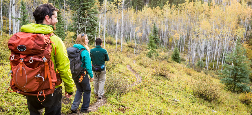 Visitors and a Parks Canada employee on a pilgrimage to Gahnįhthah Tufa Mounds.