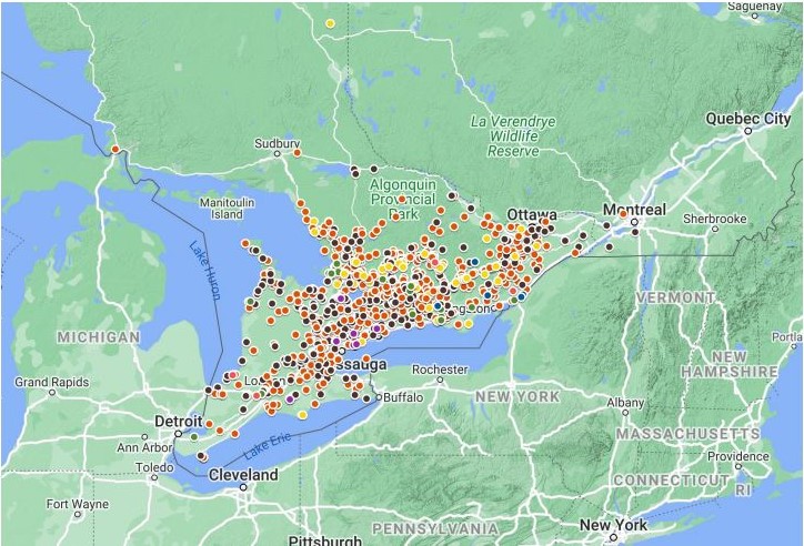 A map of Ontario, south of Algonquin provincial park shows the number of turtles admitted to the Ontario Turtle Conservation Centre. The different turtle species are represented by colour coded dots, which are most concentrated in the area of the Greater Toronto Area.