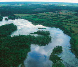 The end of the excavated channel that links with the Tay Marsh