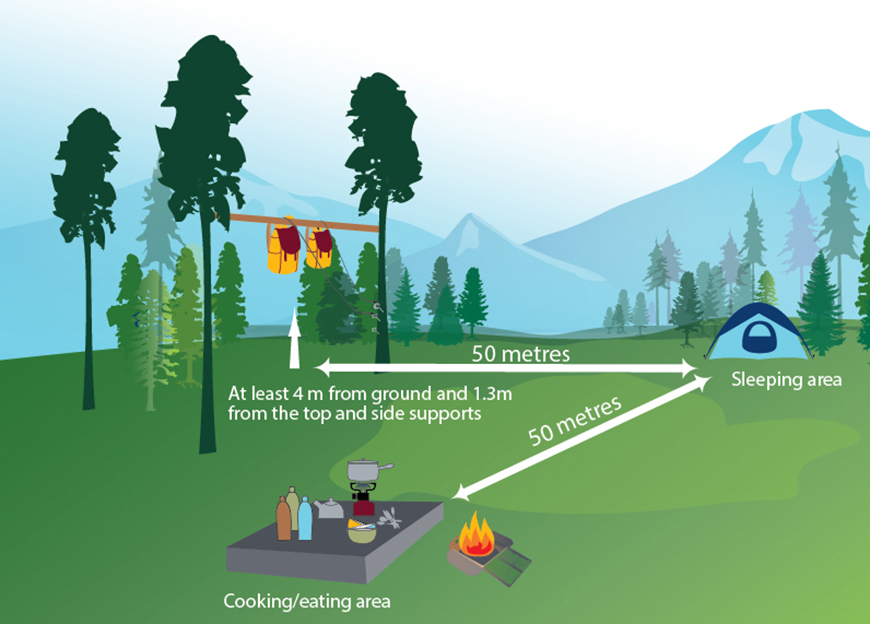 illustration on how to hang food in the Banff backcountry  
