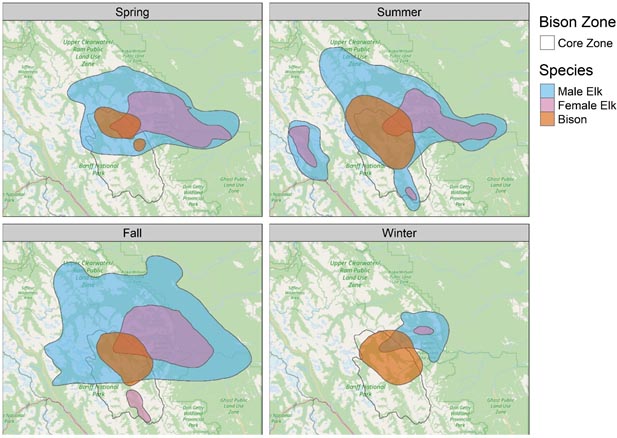 Figure 9 — Seasonal distributions of elk and bison in and around the BNP bison reintroduction zone   — Text description follows.