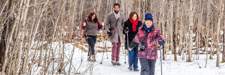 A group of four hikers use hiking poles for support on an icy trail. 