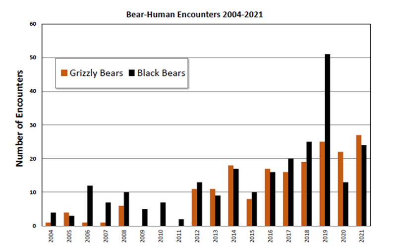 Figure 7. The number of bear-human encounters in Jasper from 2004 to 2021, where encounters refers to a threat, charge, or contact between a bear and a human, not just a sighting of a bear.