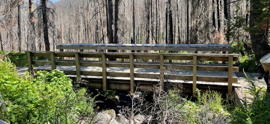 New foot bridge along Snowshoe trail 