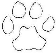 drawing of a cougar track 