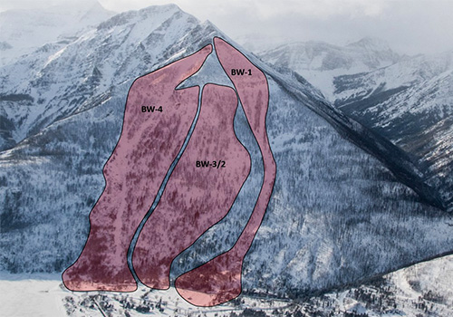 Photo with graphic overlay of documented avalanche paths on Bertha Peak.