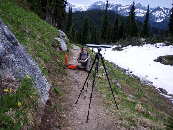 Monitoring birds with sound technology