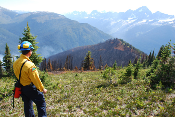 Grizzly Ridge Fire