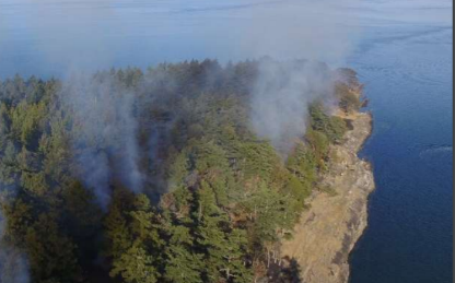 Smoke coming out of forest. Seen from above.
