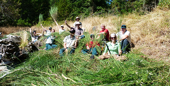 volunteers